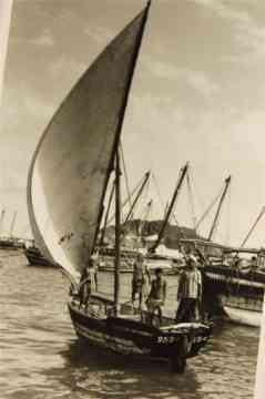 ���� ������ ��� ��� ����